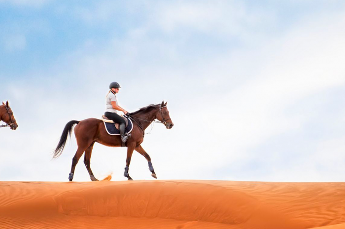 Horse Riding Desert